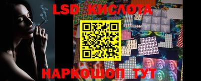 крисы Шебекино