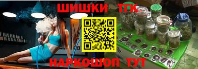 крисы Шебекино