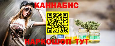 крисы Шебекино