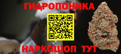 jwh Шелехов