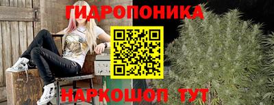 ALPHA-PVP Шахты