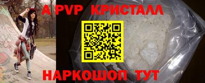крисы Шебекино