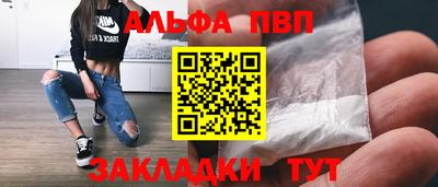 крисы Шебекино