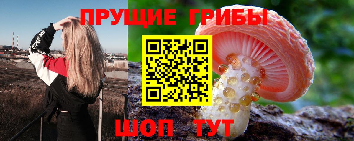 Псилоцибиновые грибы GOLDEN TEACHER Алексеевка