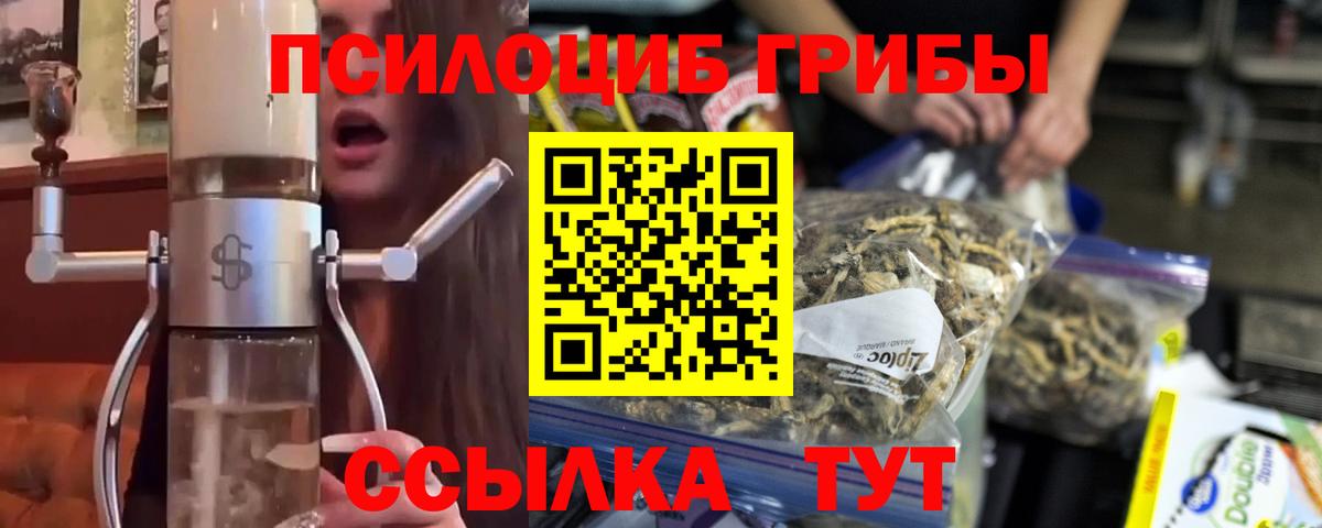 наркотики  Галлюциногенные грибы Magic Shrooms  Вход с VPN  Псилоцибиновые грибы мухоморы  Алексеевка 